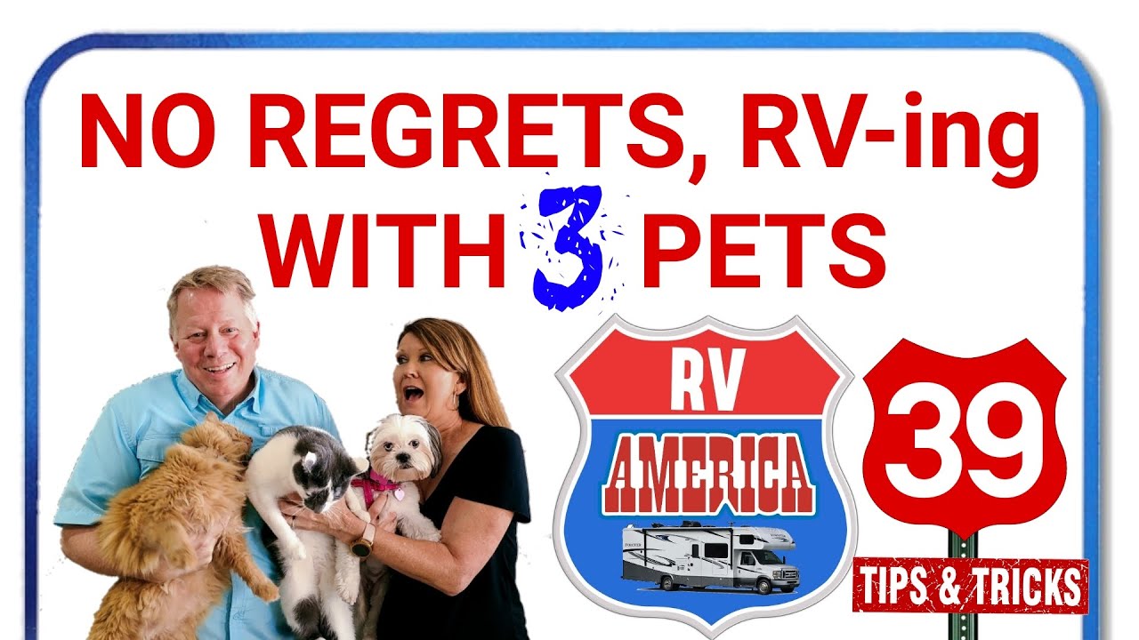 No Regrets, RVing w/ 3 Pets | RV WITH DOGS & CATS