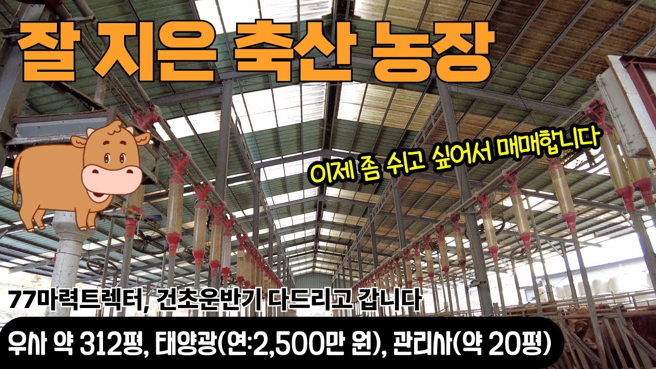 NO-131 잘 지은 축사 우사 축산농장 매매 77마력 트렉터, 건초운반기 다 드리고 좀 쉬고 싶어서 갑니다 태양광 130KW 연 2,500만원 고정 수입