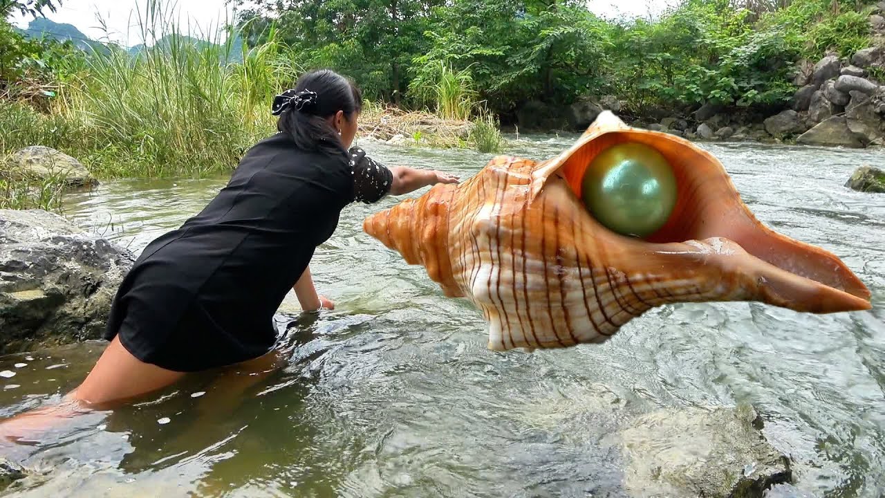 How lucky! Giant mussels discovered in the wilderness, harvesting charming purple and pink pearls