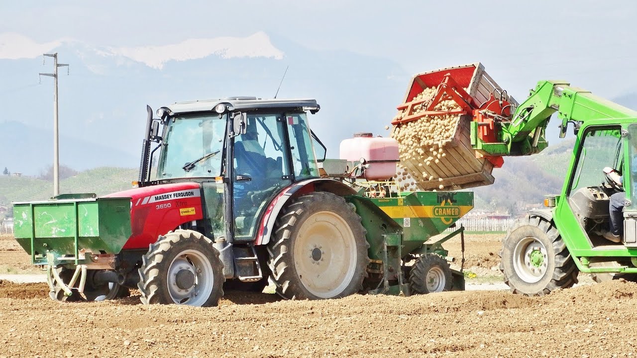 Potatoes Planting | Massey Ferguson 3650 Xtra + Cramer Marathon F + Merlo P26.6