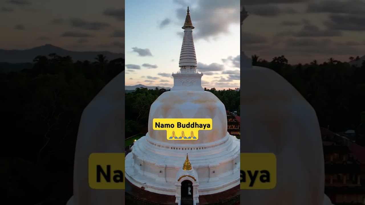 Namo Buddhaya 🙏🙏🙏 #buddhistmeditation #usa #meditation #buddha #travel