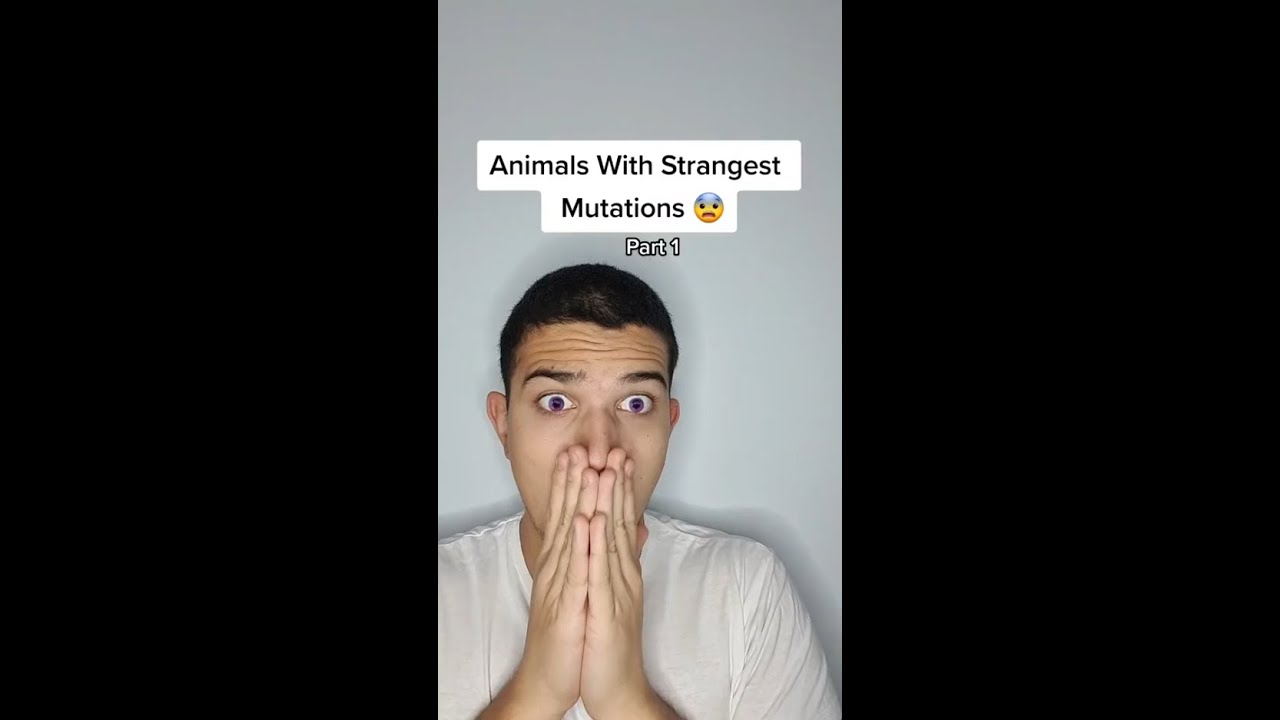 Animals With Strangest Mutations! 