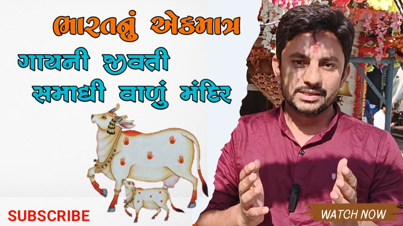 ગાય માતાનો મેળો શિહોરી |GAY MATA NO MELO SHIHORI | NESHWANSH FOOD AND BLOG