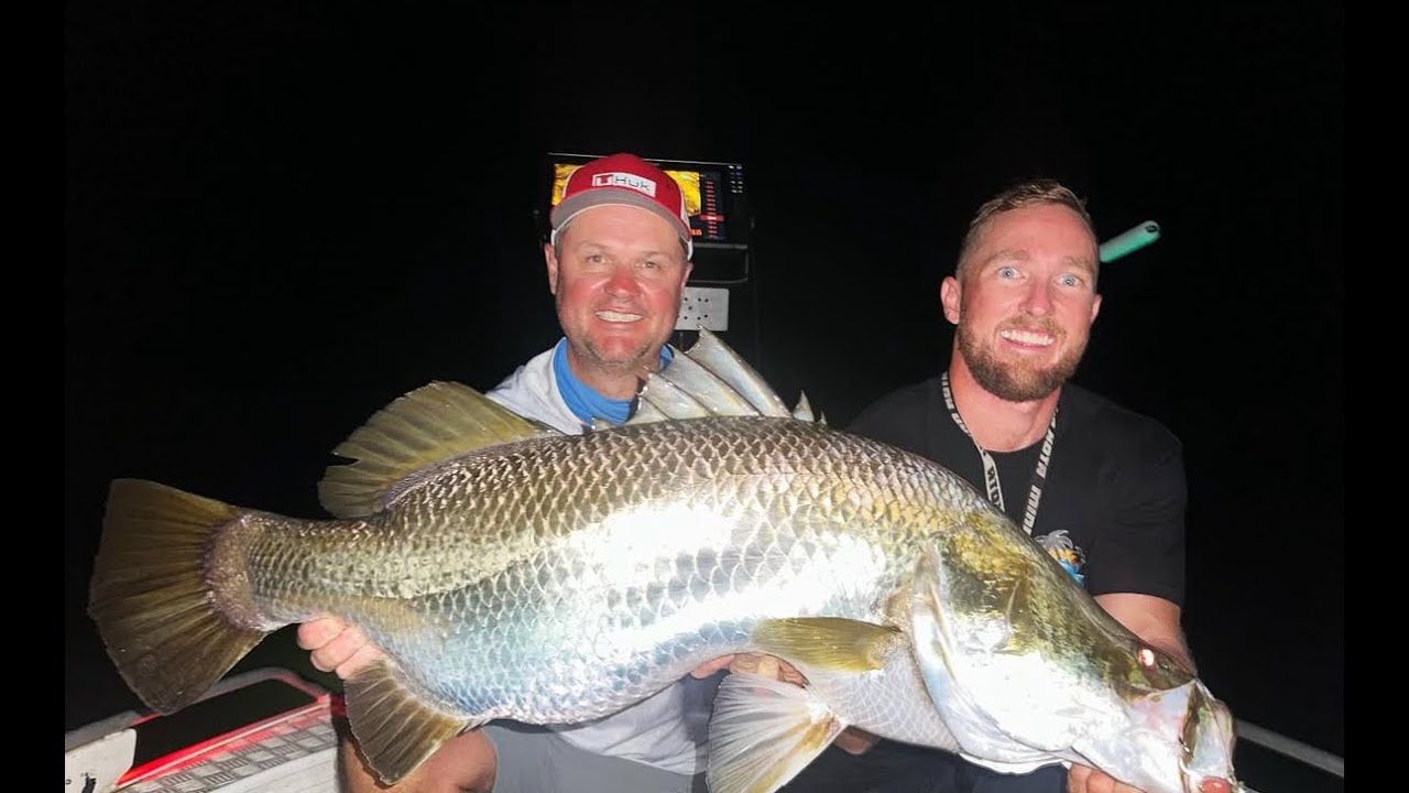 Tinaroo Barramundi - Live scoping - Tropic Barra Adventures