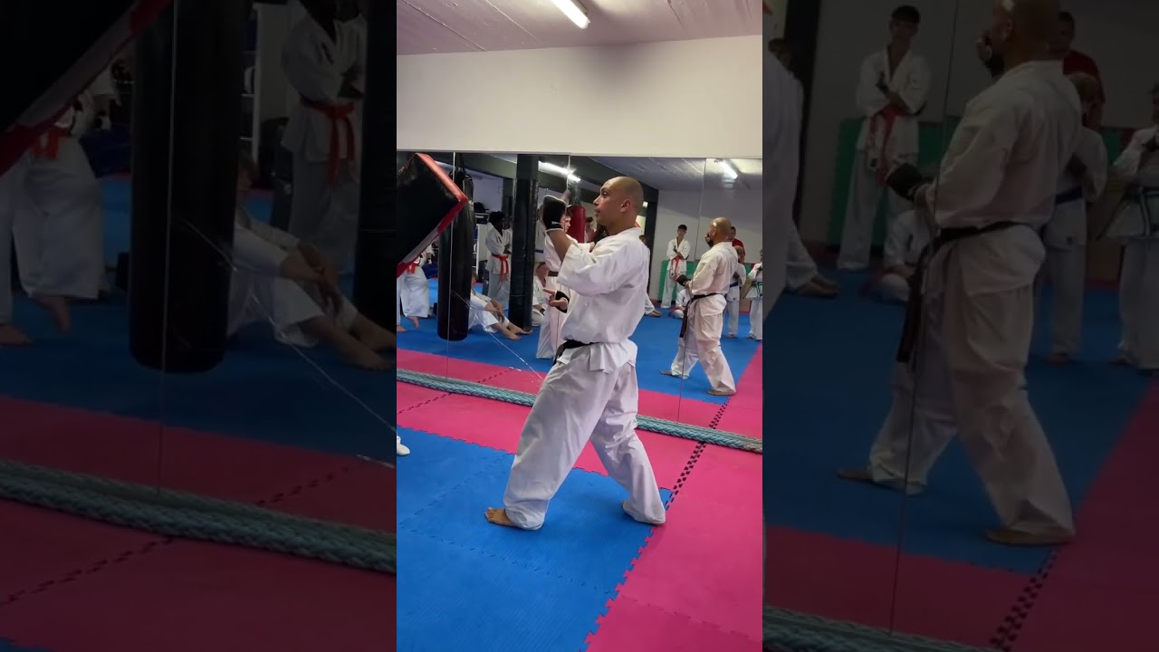 Einer der t&ouml;dlichsten Kicks im Kyokushin Karate. Und eine Regression dazu.. #kampfsport #kampfkunst