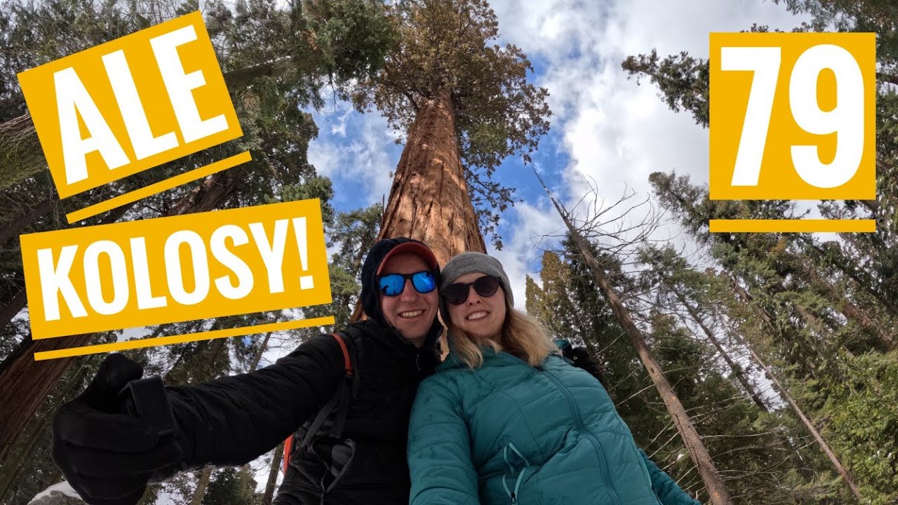 Zdumiewające sekwoje, Odkrywamy giganty z Sequoia National Park USA 2025