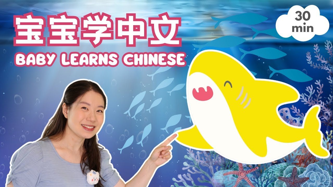海底世界 - 鲨鱼 & 颜色 & 数字 🦈 Ocean Friends - Shark, Starfish, and More! | Baobei Chinese