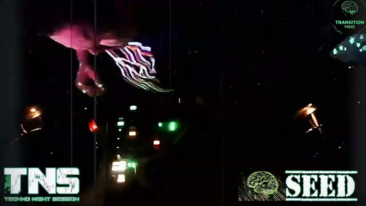 TNS 23 Techno Night Session SeeD