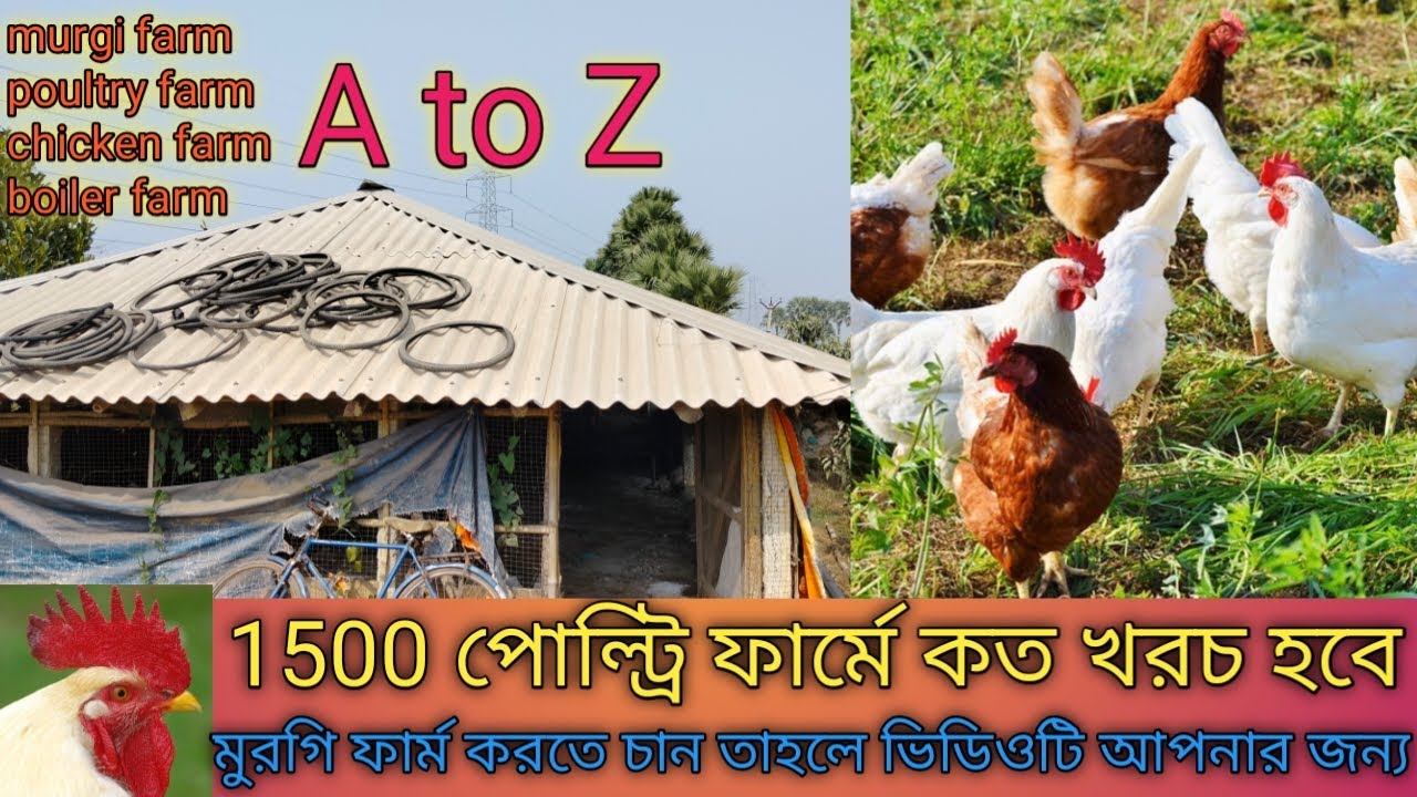 1500 poultry farm/murgi farm business/poultry farm cost/poultry farm house plan/poultry farm kharcha
