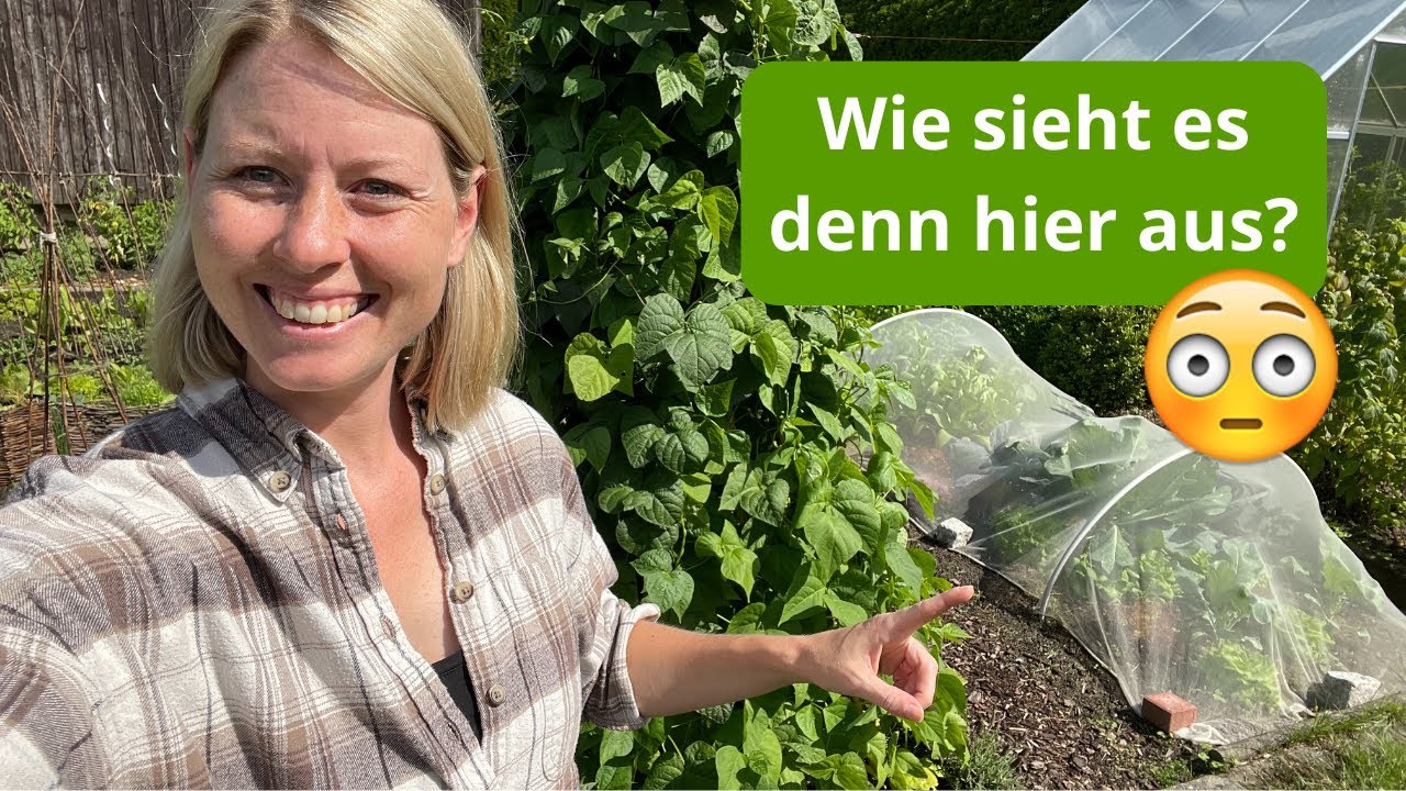 Gartenrundgang im August / Ich schaue nach dem Urlaub im Gemüsegarten vorbei & zeige euch die Beete