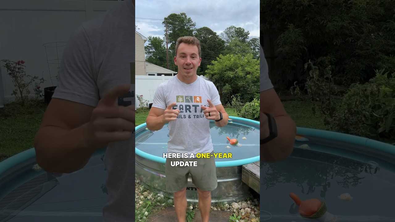 DIY Stock Tank Pool: One Year Later