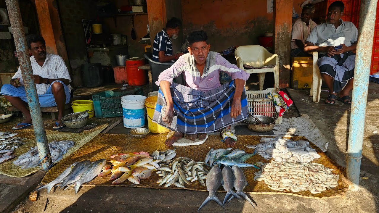 தேவிப்பட்டிணம் மீன்மார்க்கெட், மீன்ஏலம்/DEVIPATNAM FISH MARKET AND FISH AUCTION 
