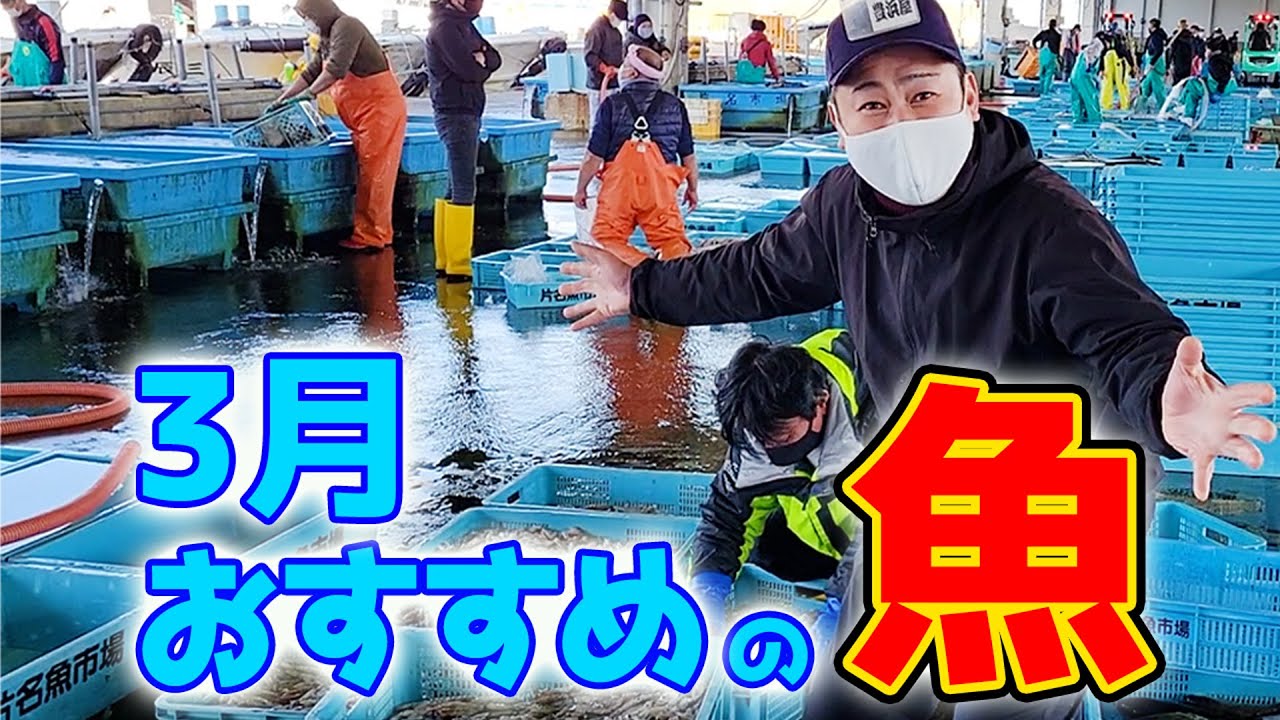 【今が旬!!】3月に食べるべきオススメのアレ！今年は早いうちに脂がノってきたので刺身とフライで美味しくいただきました！
