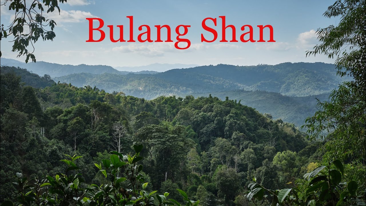 Livestream： Deep dive into Bulang Shan