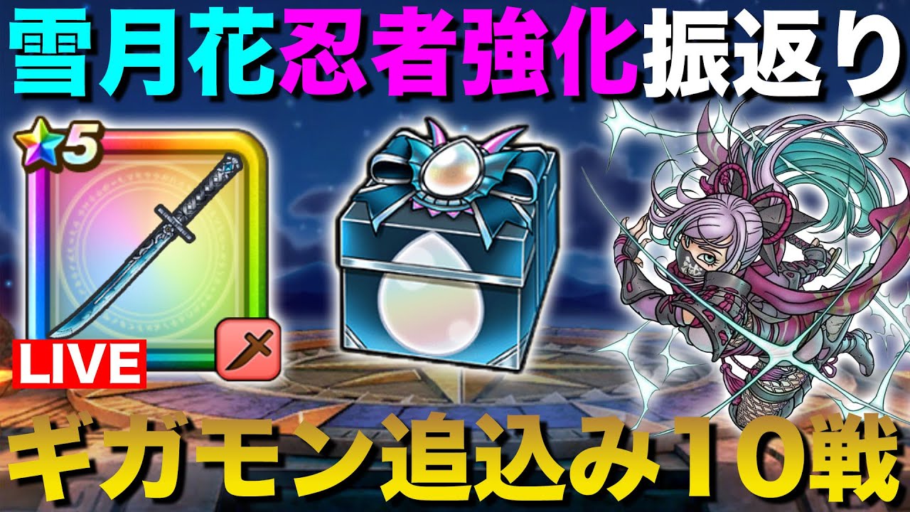 【ドラクエウォーク】雪月花総合評価・ニンジャ強化について!! ギガモンは10連戦行きます!!【DQW】