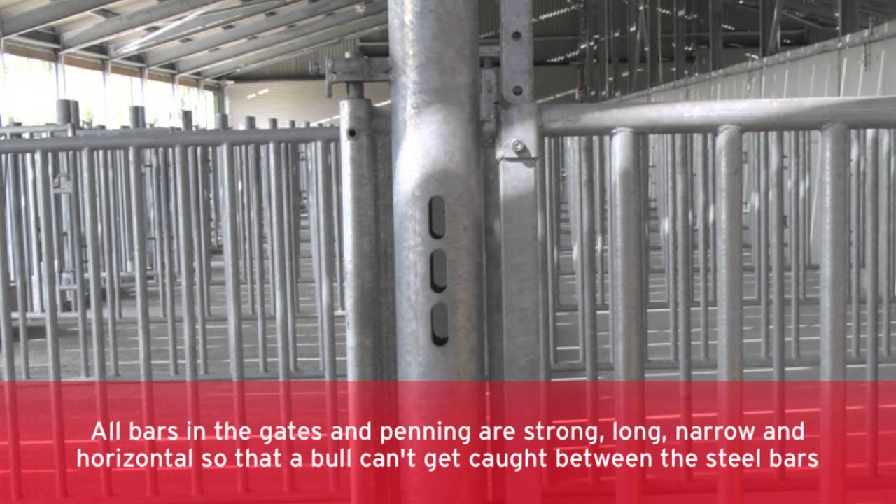 A look inside Dairygold's new €2m bull stud in Cork