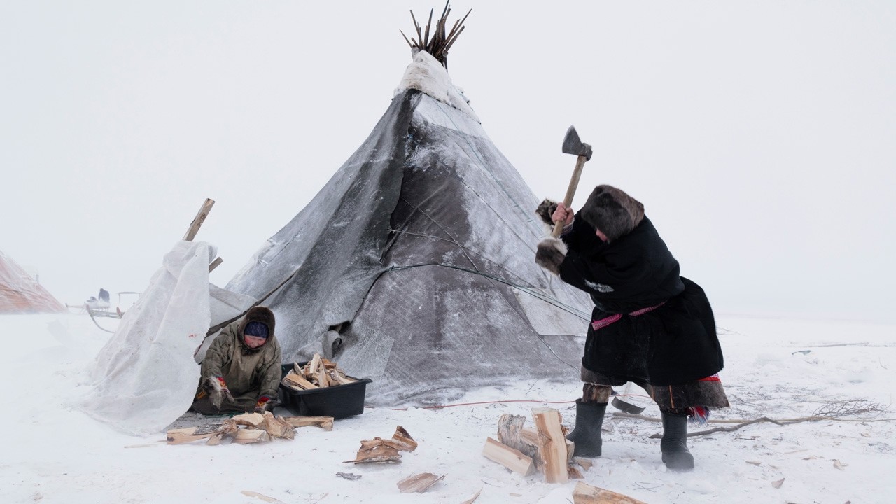 Vida Primitiva en el &Aacute;rtico: Supervivencia a -40&deg;C