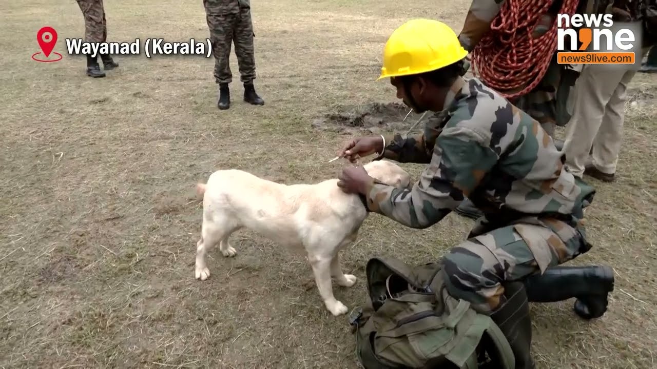 Special Team with Dog Squad Left for Wayanad&rsquo;s Sunrise Valley to Conduct Search Operation | News9