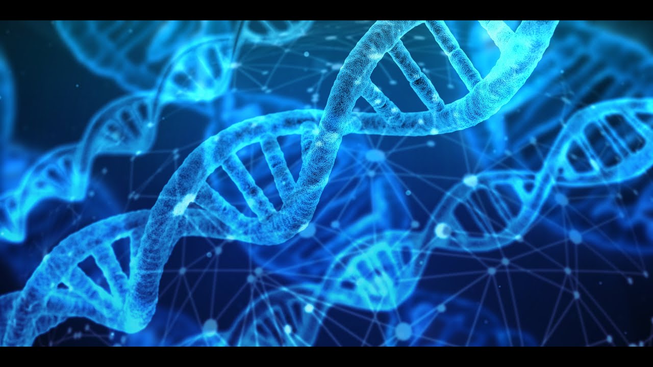 Stem Cell Production Music | DNA Stimulation & Repair | Music for Healing Cells from Toxins | 528Hz
