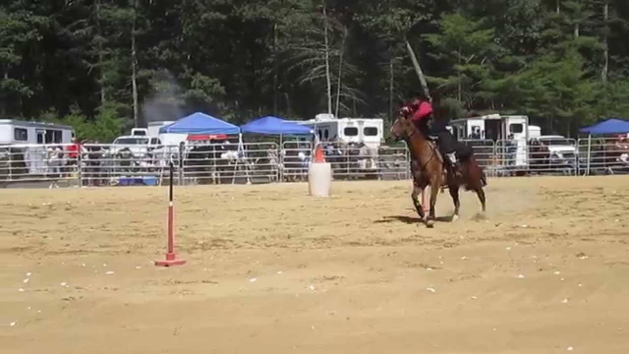 Cowboy Mounted Shooting in a Dr. Cook's bitless bridle