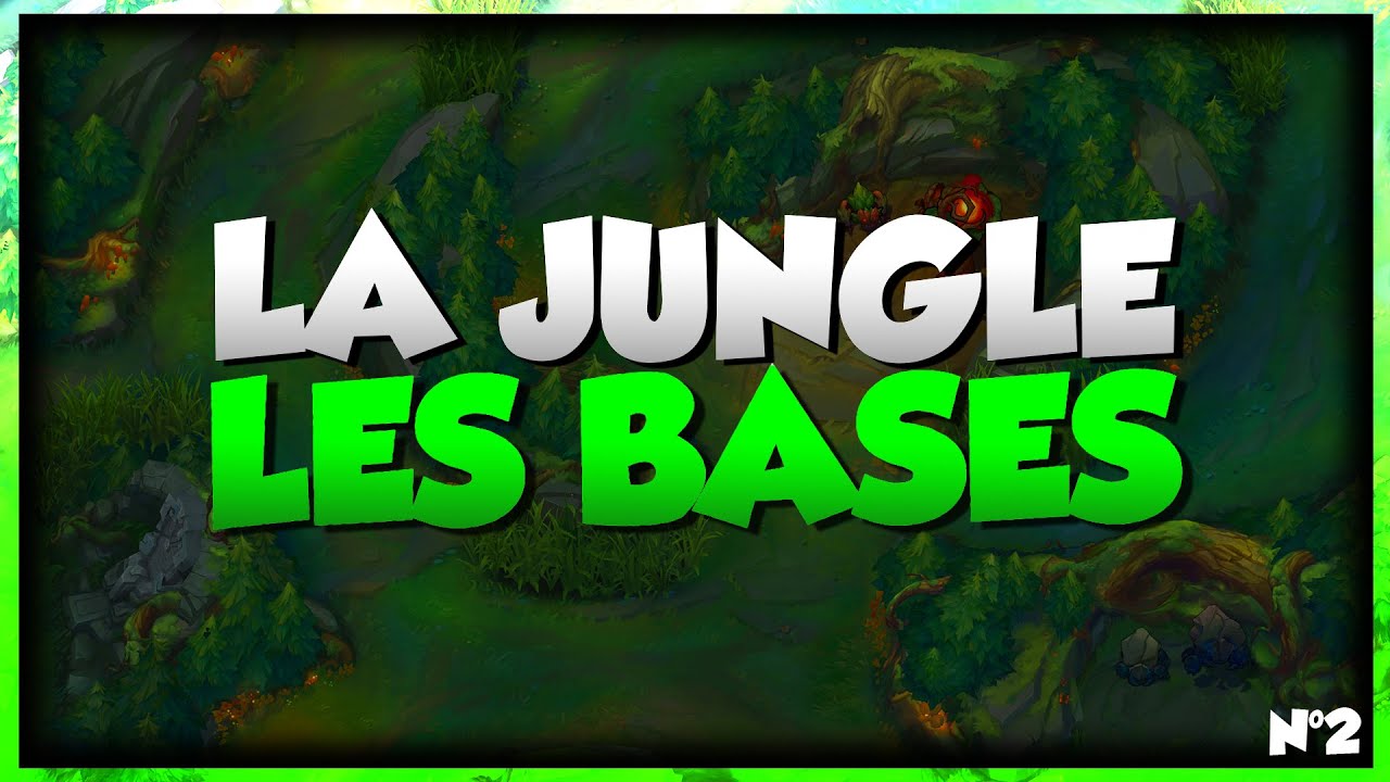 LES BASES DE LA JUNGLE : RETOUR AUX BASES #2
