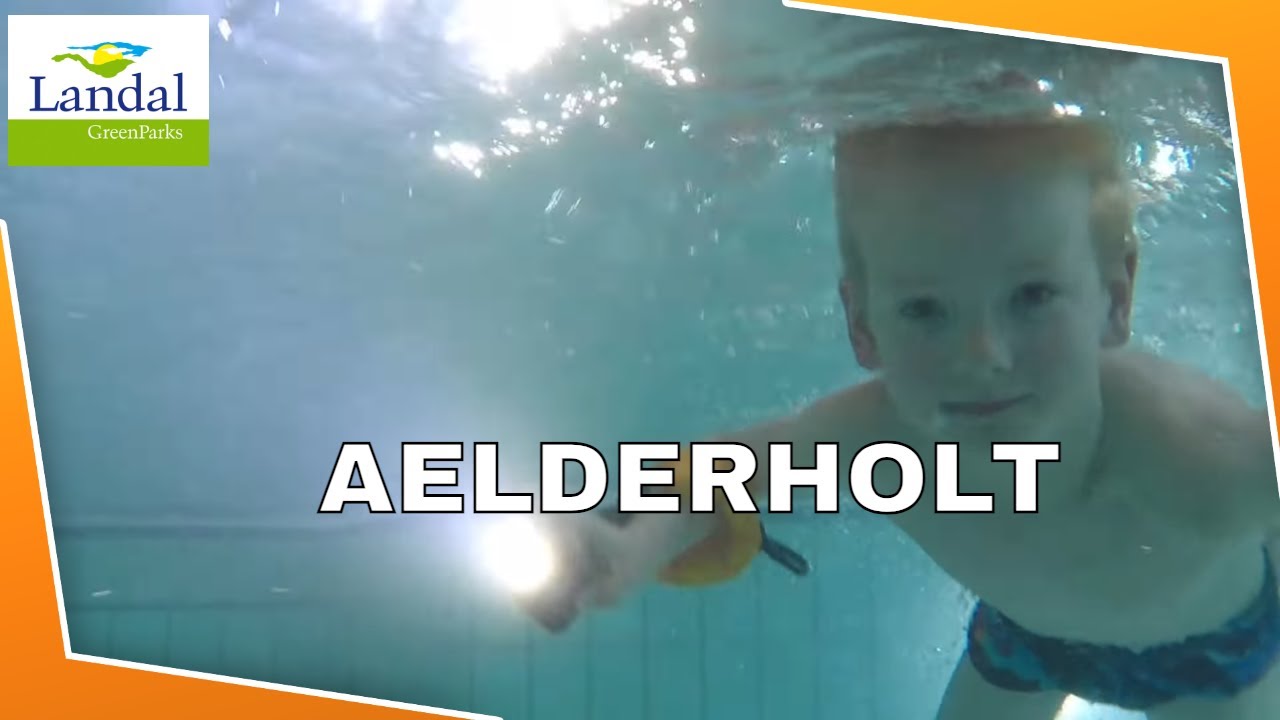 Landal Aelderholt | Bollo de Beer |  Zwembad