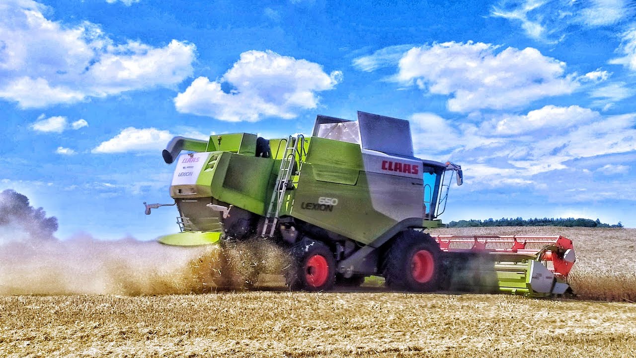 Żniwa z classą 2020 /Claas Lexion 650 / Wielkopolska