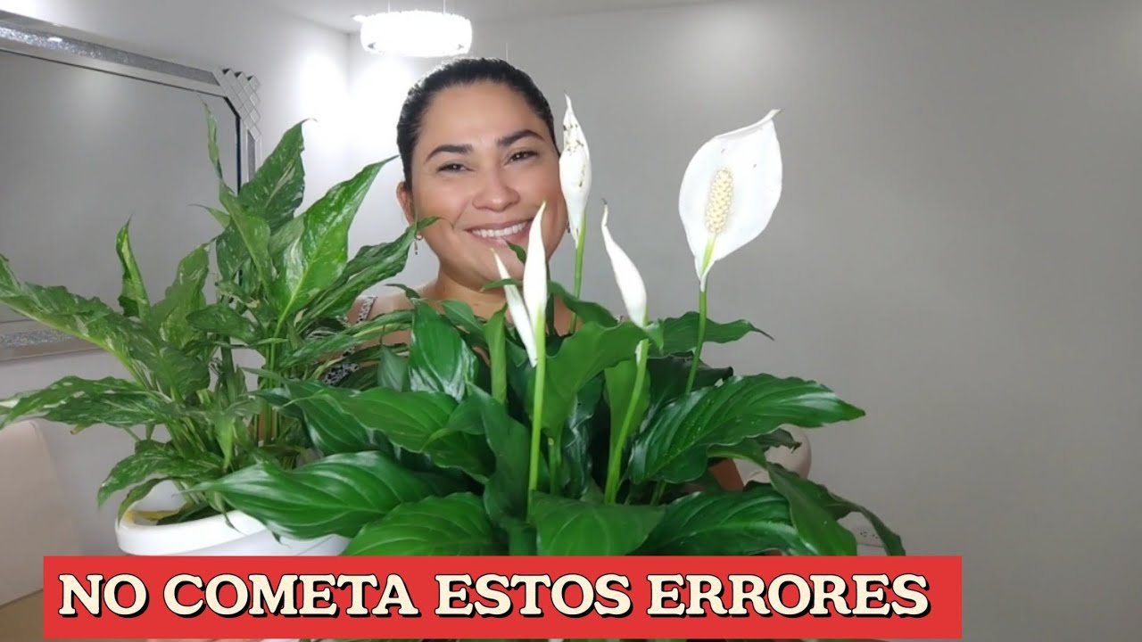 NO COMETA ESTOS ERRORES CON TU CUNA DE MOISES..