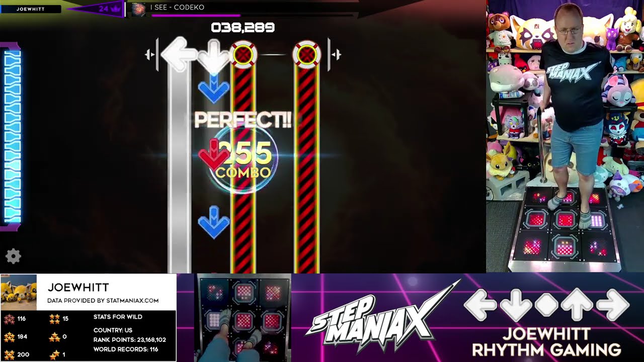 (StepmaniaX) I See Wild-24 [99.165%]