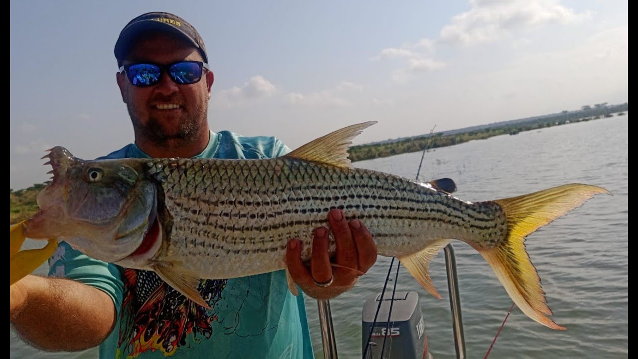 BIGGEST Tiger fish for the trip Day 2 aboard Tiger Hunters Tours & Safari at Jozini Dam