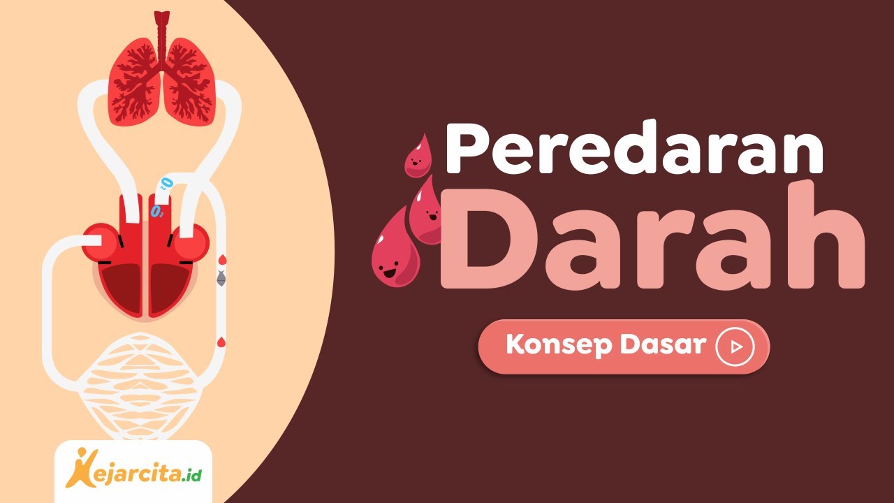 Sistem Peredaran Darah Manusia | IPA SD