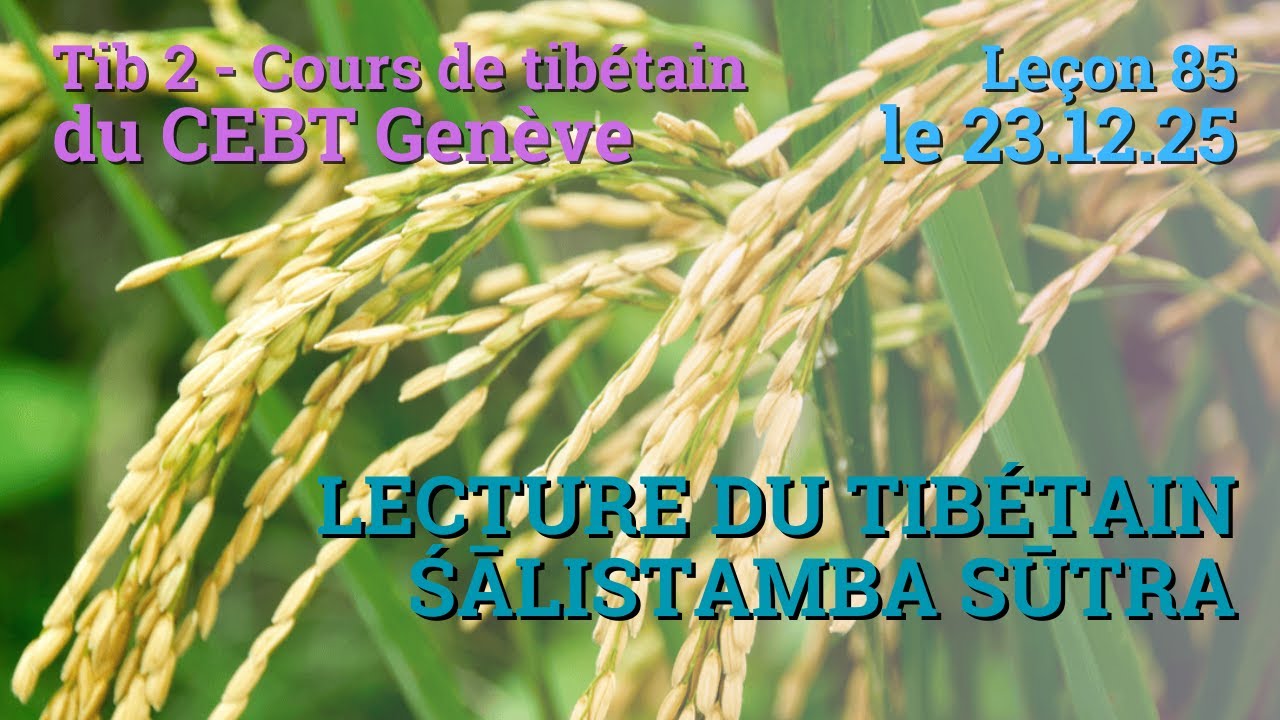 Tib 2 - Cours de tibétain ”pousse de riz” -  leçon 85, le 23.12.25