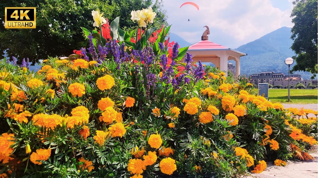 Interlaken, Switzerland 4K 🇨🇭 | 🌞 Summer Walk in a Swiss Village | Walking Tour in the Swiss Alps