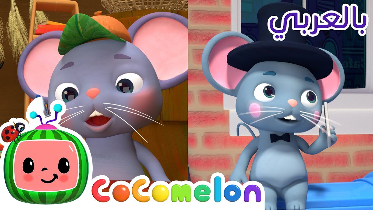 Cocomelon Arabic - The Country Mouse | أغاني كوكو ميلون بالعربي | اغاني اطفال | الفأر المدني والريفي