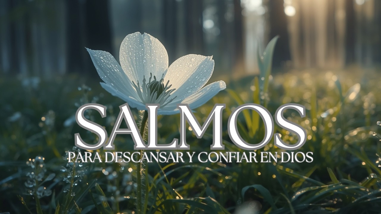 Salmos Cantados para Dormir en Paz y Confiar en Dios🤍🙏 | Peaceful Psalms for Sleep