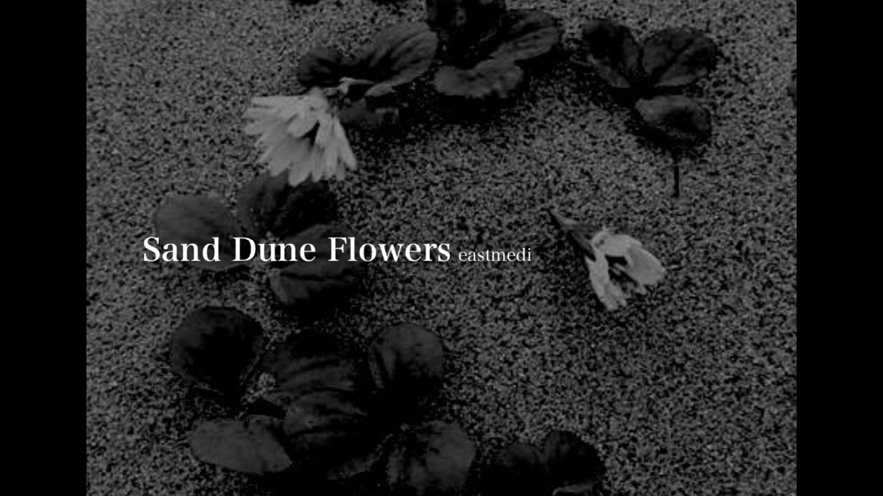 Sand Dune Flower＋dub - eastmedi