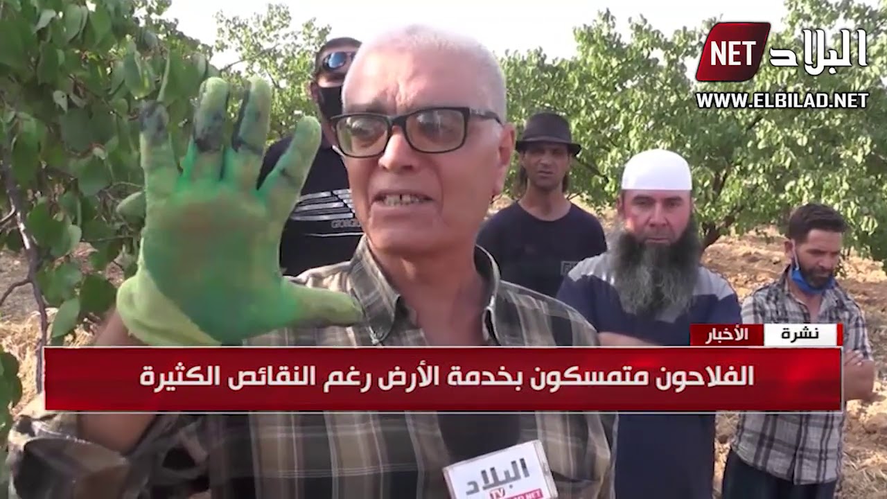 باتنة : فلاحو 
