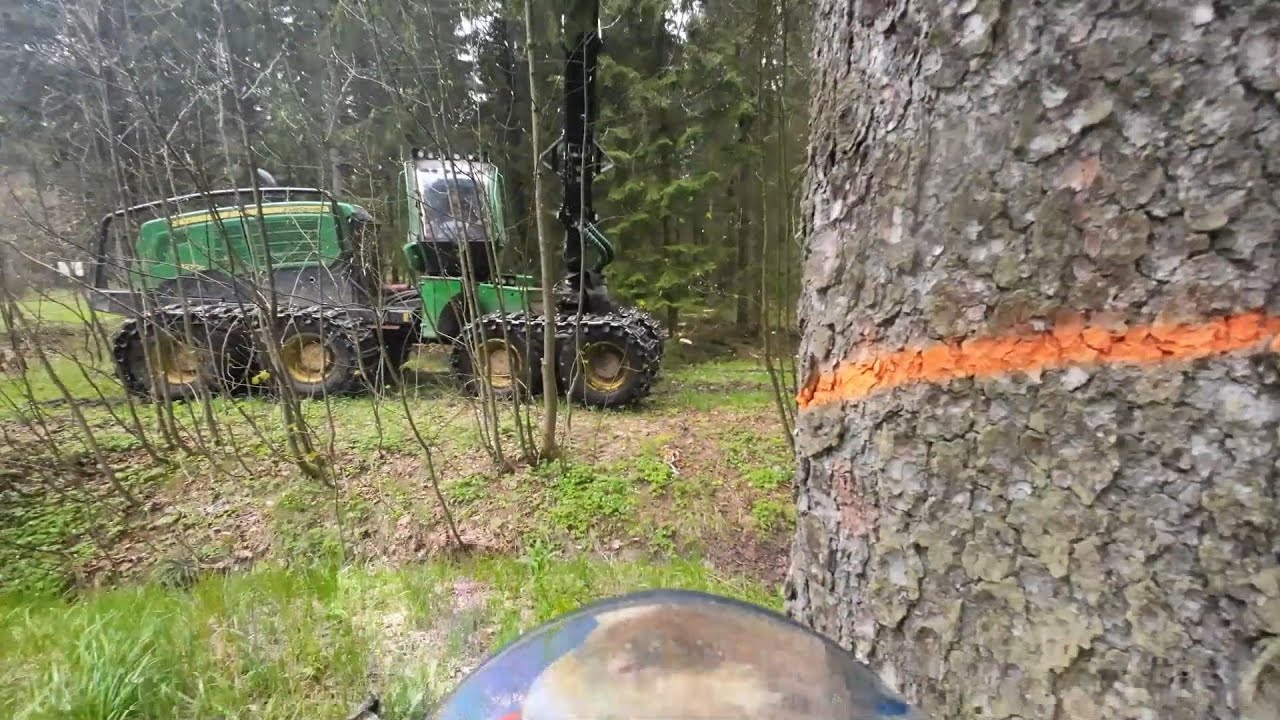 John Deere 1270G & MS 462 auf Käferholz - Jagd [ 3 : # ]