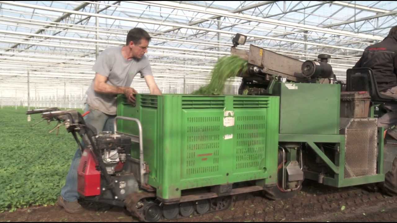 Cornelissen Fresh Food