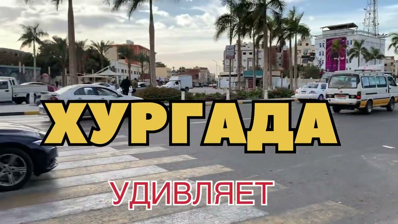 Хургада удивляет.Море,риф #египет #хургада2023 #коралловыйриф