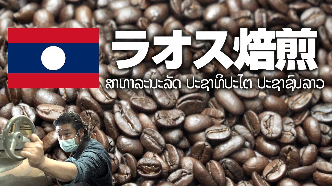 泰三が愛してやまないラオス🇱🇦を深煎りにします【コーヒー焙煎実況＆解説】