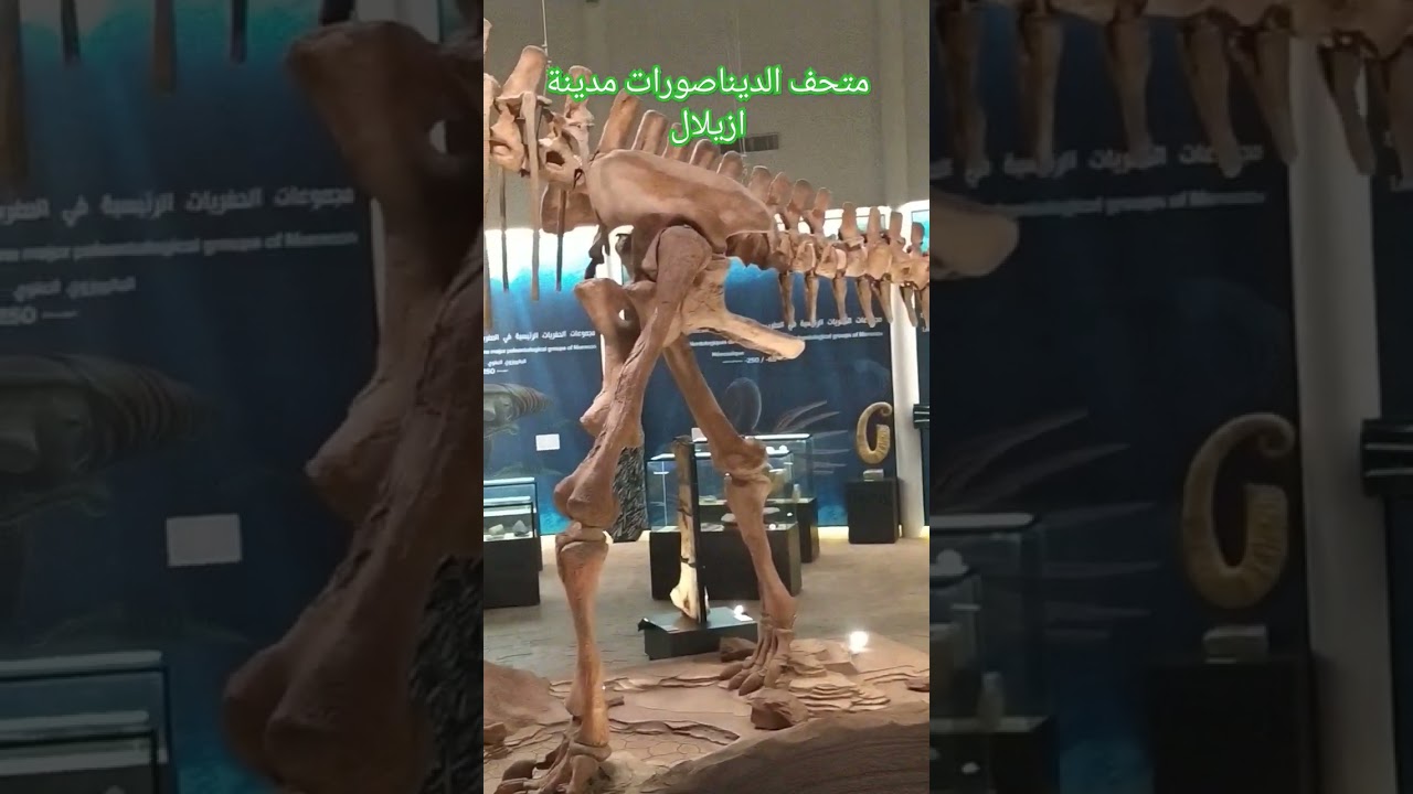 متحف الديناصورات ازيلال المغرب