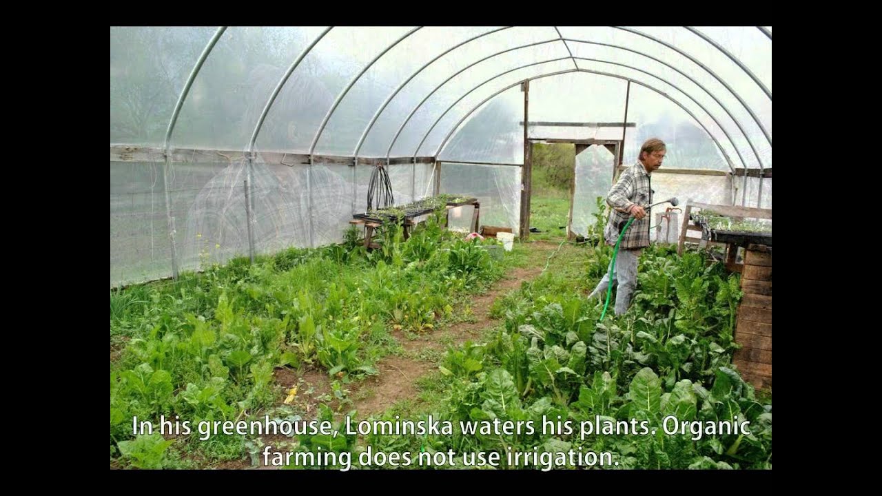 The Organic Process