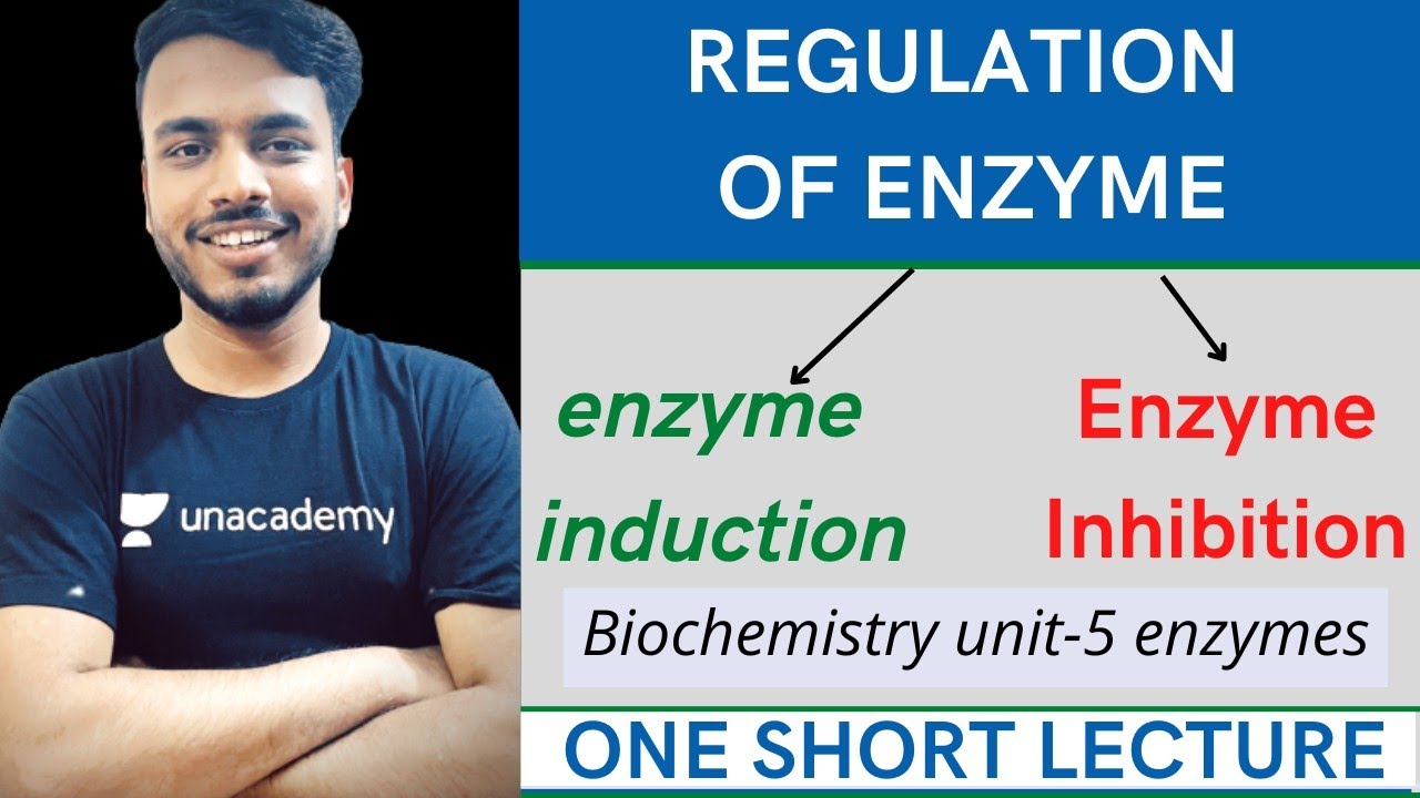 regulation of enzymes enzyme induction and repression || enzyme regulation || biochemistry unit 5