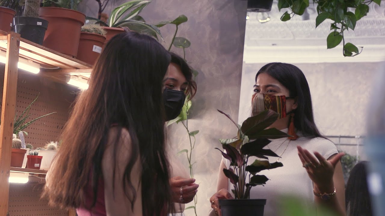 House plants near me: Semillas Plant Studio Chicago in Pilsen grows community one seed at a time