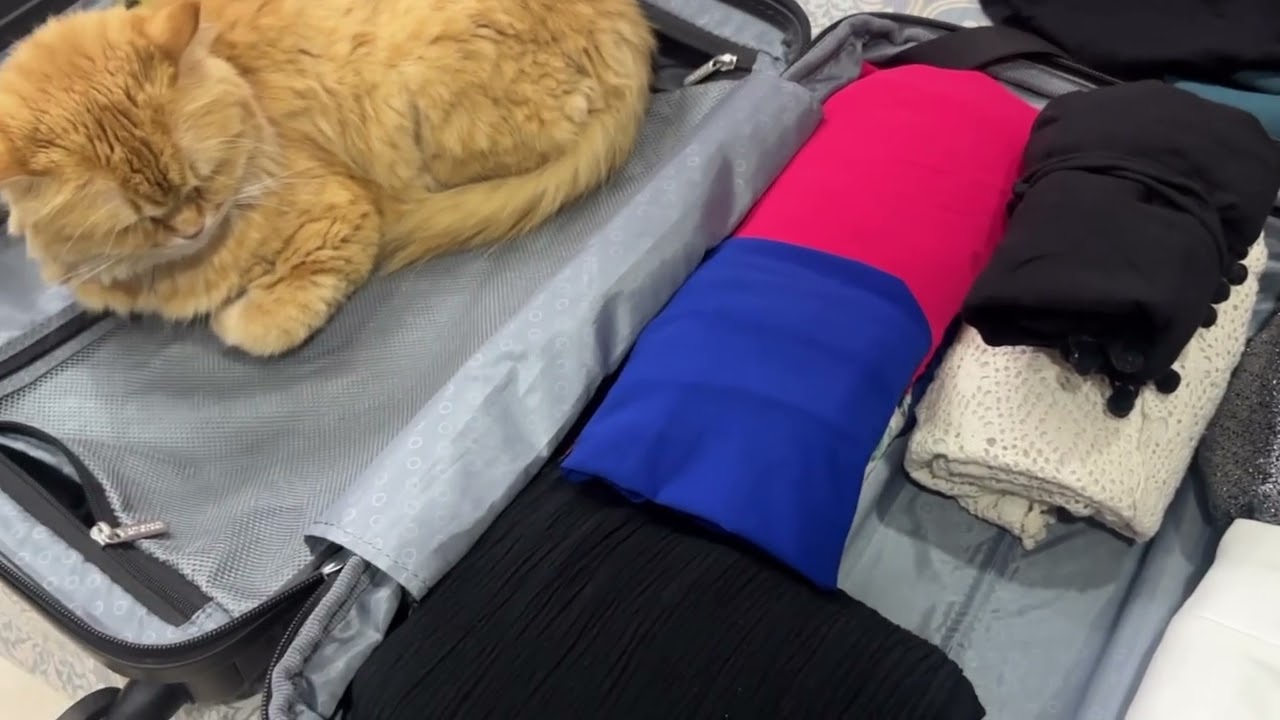 Pack With Me For Goa 🌴✨ Beach Outfits + Travel Prep Vlog