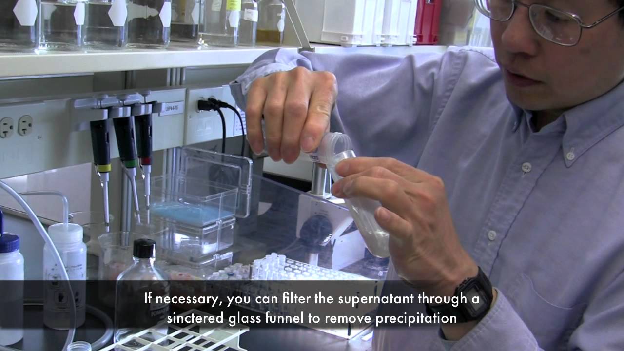 05 isopropanol precipitation