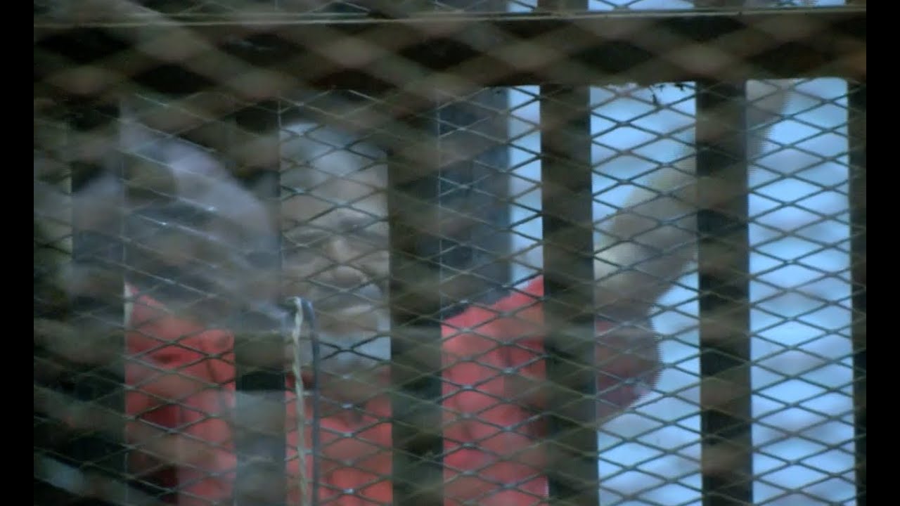 Former Egyptian President Morsi Sentenced to 40 Years in Jail