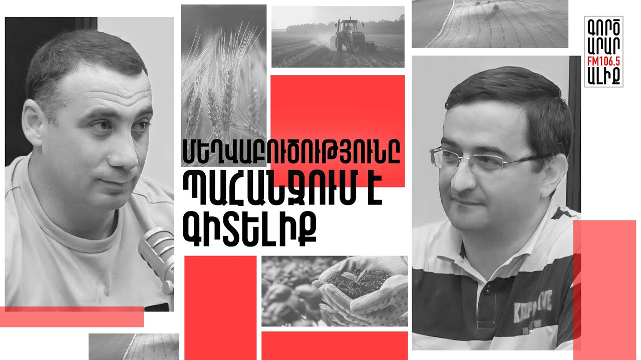 Մեղվաբուծության դարբնոց. ի՞նչ անելիք կա ոլորտում. բերքուբարք