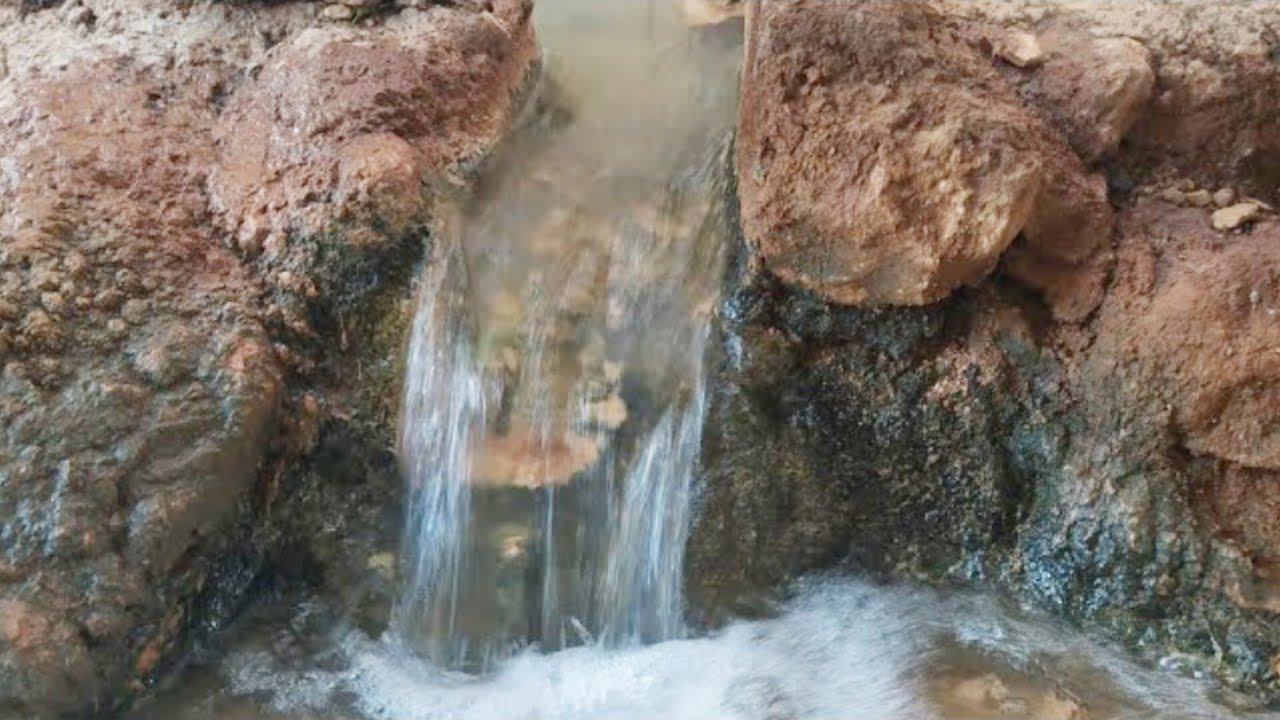 جولة في اولاد جرار مناظر خلابة و رائعة و أشجار قديمة عمرها 100سنين🌲🌲